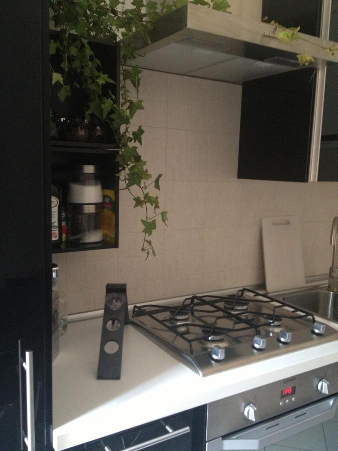 Apartment Near Historic Center With Bicycles Bolonia Zewnętrze zdjęcie